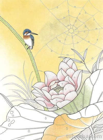 荷花素描：以线塑形，勾勒荷塘的清雅意趣 - 图画吧TUHUABA