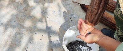 小寒到了,家庭蔬菜种植别放松,这3个工作重点别忽略 - 今日头条 小寒到了,家庭蔬菜种植别放松,这3个工作重点别忽略 - 图画吧TUHUABA