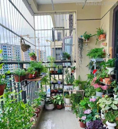 在家种菜不难！中老年人必看4个老经验，新手也能丰收 - 今日头条