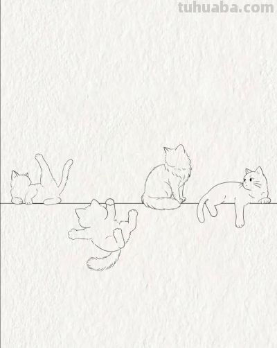 茜瓜简笔画分享丨嬉戏快乐的喵星人 - 图画吧TUHUABA