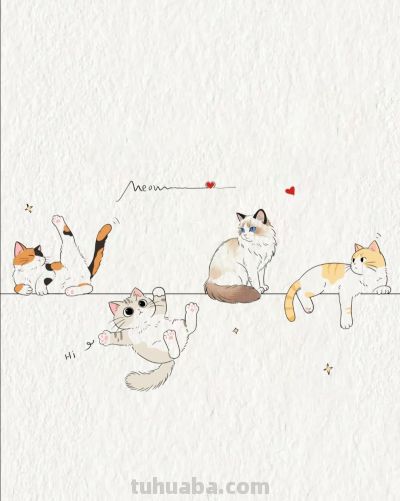 茜瓜简笔画分享丨嬉戏快乐的喵星人 - 图画吧TUHUABA