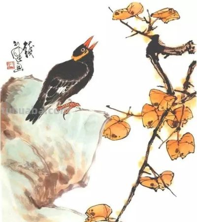 一组百禽图，鸟语花香，画花鸟再也不用愁没素材了！ - 图画吧TUHUABA