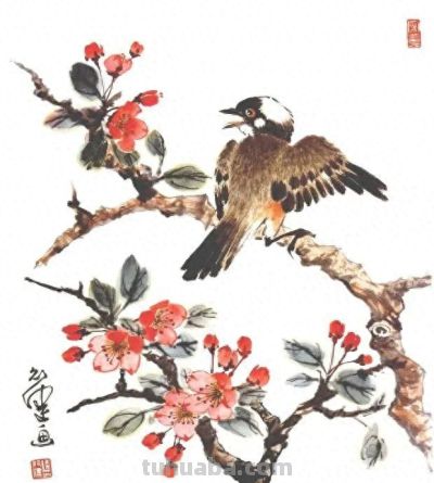 一组百禽图，鸟语花香，画花鸟再也不用愁没素材了！ - 今日头条