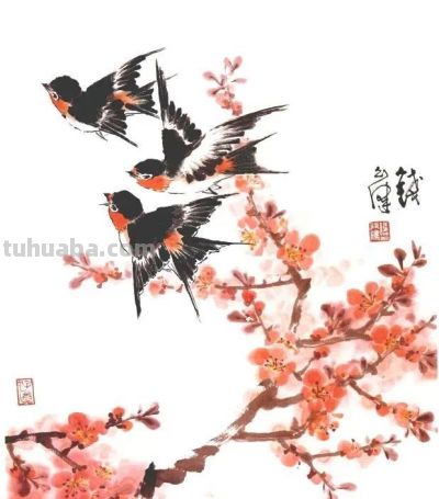 一组百禽图，鸟语花香，画花鸟再也不用愁没素材了！ - 图画吧TUHUABA