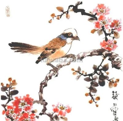 一组百禽图，鸟语花香，画花鸟再也不用愁没素材了！ - 图画吧TUHUABA