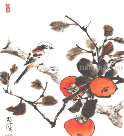 一组百禽图，鸟语花香，画花鸟再也不用愁没素材了！ - 图画吧TUHUABA