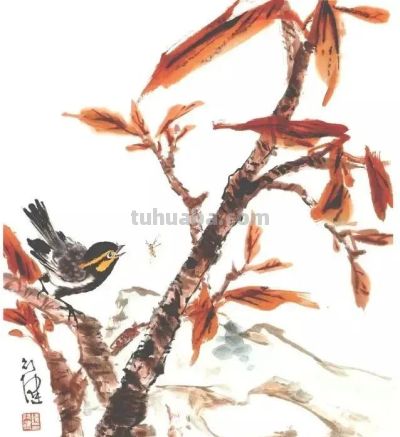 一组百禽图，鸟语花香，画花鸟再也不用愁没素材了！ - 图画吧TUHUABA