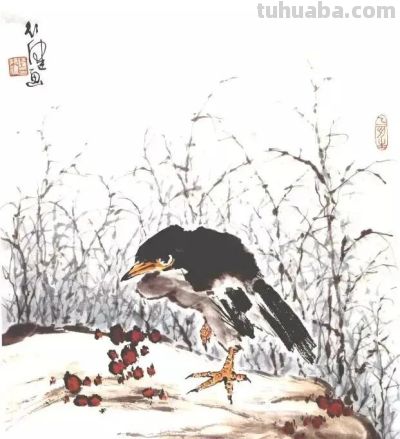 一组百禽图，鸟语花香，画花鸟再也不用愁没素材了！ - 图画吧TUHUABA