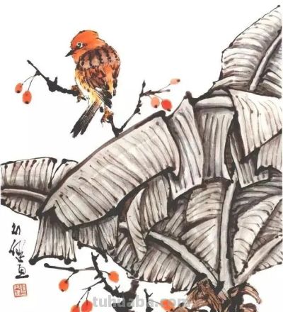 一组百禽图，鸟语花香，画花鸟再也不用愁没素材了！ - 图画吧TUHUABA