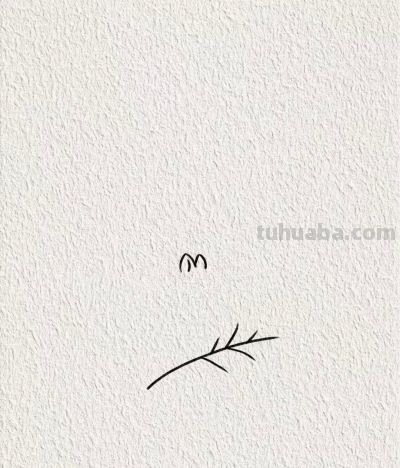 画个简笔画分享丨可爱的小松鼠 - 图画吧TUHUABA