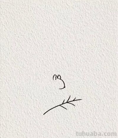 画个简笔画分享丨可爱的小松鼠 - 图画吧TUHUABA
