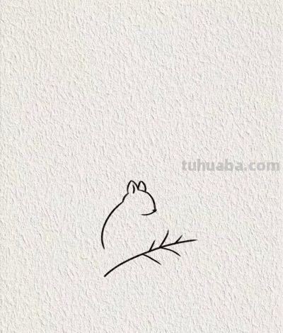 画个简笔画分享丨可爱的小松鼠 - 图画吧TUHUABA