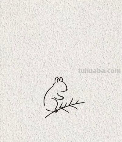 画个简笔画分享丨可爱的小松鼠 - 图画吧TUHUABA