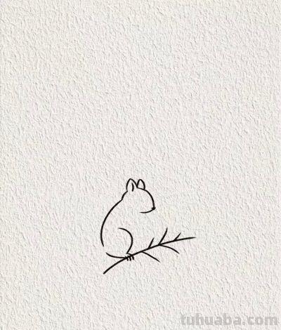 画个简笔画分享丨可爱的小松鼠 - 图画吧TUHUABA