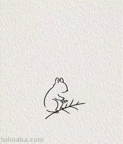 画个简笔画分享丨可爱的小松鼠 - 图画吧TUHUABA