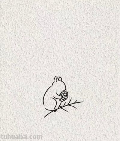 画个简笔画分享丨可爱的小松鼠 - 图画吧TUHUABA