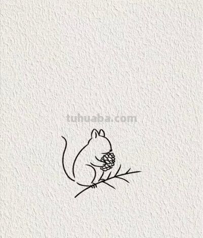 画个简笔画分享丨可爱的小松鼠 - 图画吧TUHUABA