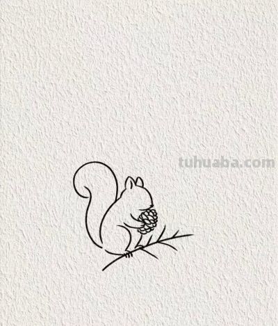 画个简笔画分享丨可爱的小松鼠 - 图画吧TUHUABA