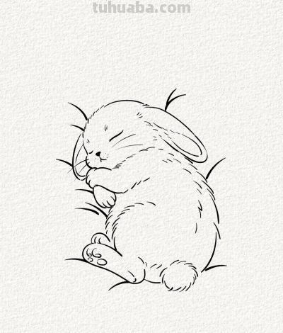 可爱的睡睡兔丨涂鸦简笔画分享 - 今日头条