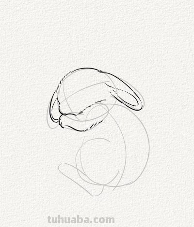 可爱的睡睡兔丨涂鸦简笔画分享 - 图画吧TUHUABA