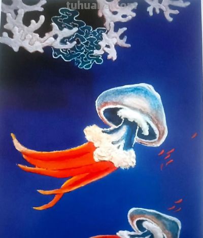 曾仲作和他的海洋生物绘画 - 图画吧TUHUABA