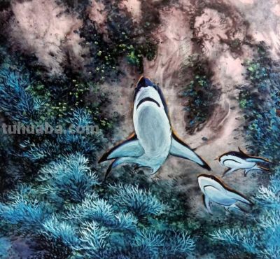曾仲作和他的海洋生物绘画 - 图画吧TUHUABA