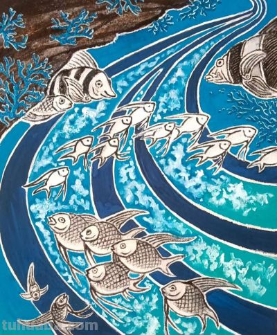 曾仲作和他的海洋生物绘画 - 图画吧TUHUABA