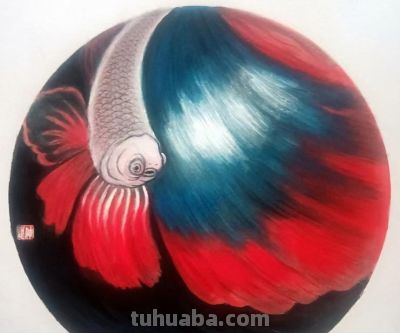 曾仲作和他的海洋生物绘画 - 图画吧TUHUABA