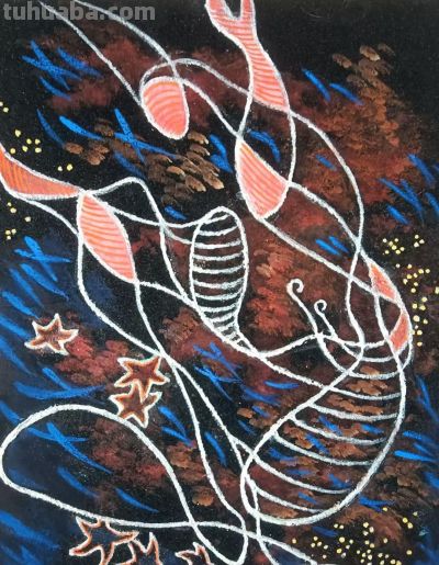 曾仲作和他的海洋生物绘画 - 图画吧TUHUABA