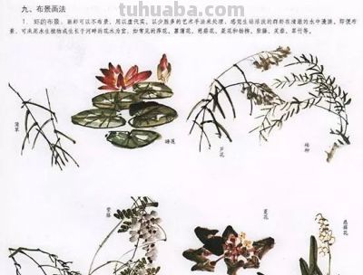 写意花鸟技法：昆虫、虾蟹、禽鸟的画法，收藏！ - 图画吧TUHUABA