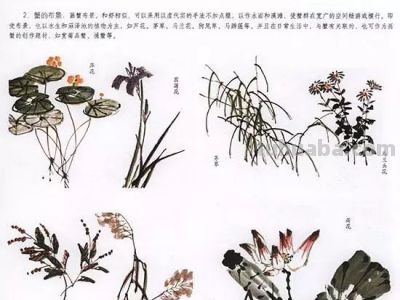 写意花鸟技法：昆虫、虾蟹、禽鸟的画法，收藏！ - 图画吧TUHUABA