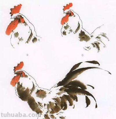 写意花鸟技法：昆虫、虾蟹、禽鸟的画法，收藏！ - 图画吧TUHUABA