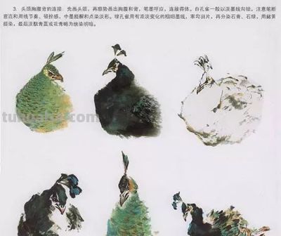 写意花鸟技法：昆虫、虾蟹、禽鸟的画法，收藏！ - 图画吧TUHUABA