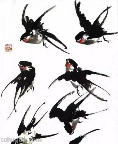 写意花鸟技法：昆虫、虾蟹、禽鸟的画法，收藏！ - 图画吧TUHUABA