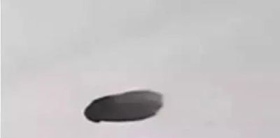 写意花鸟技法：昆虫、虾蟹、禽鸟的画法，收藏！ - 图画吧TUHUABA