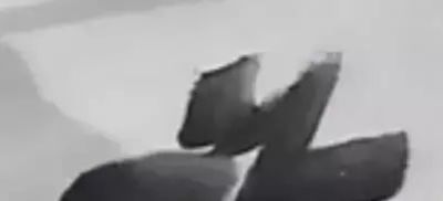 写意花鸟技法：昆虫、虾蟹、禽鸟的画法，收藏！ - 图画吧TUHUABA