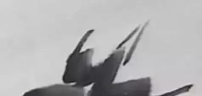 写意花鸟技法：昆虫、虾蟹、禽鸟的画法，收藏！ - 图画吧TUHUABA