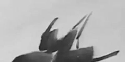 写意花鸟技法：昆虫、虾蟹、禽鸟的画法，收藏！ - 图画吧TUHUABA