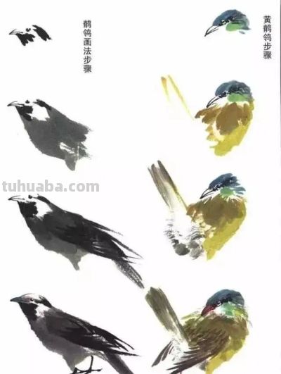 写意花鸟技法：昆虫、虾蟹、禽鸟的画法，收藏！ - 图画吧TUHUABA
