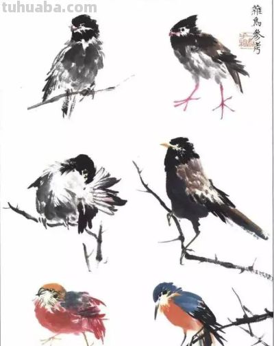 写意花鸟技法：昆虫、虾蟹、禽鸟的画法，收藏！ - 图画吧TUHUABA