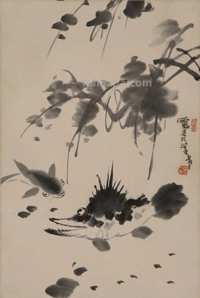 国画教程：写意鱼类画法入门—鱼类图谱 - 图画吧TUHUABA