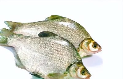 国画教程：写意鱼类画法入门—鱼类图谱 - 图画吧TUHUABA