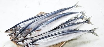 国画教程：写意鱼类画法入门—鱼类图谱 - 图画吧TUHUABA