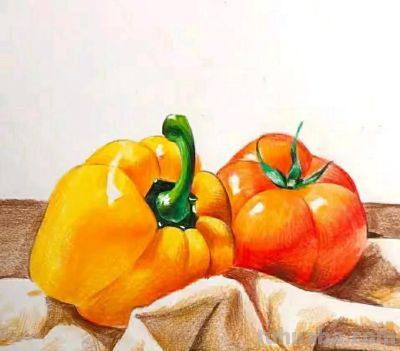 彩铅画（二十） - 图画吧TUHUABA