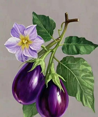 彩铅画（二十） - 图画吧TUHUABA