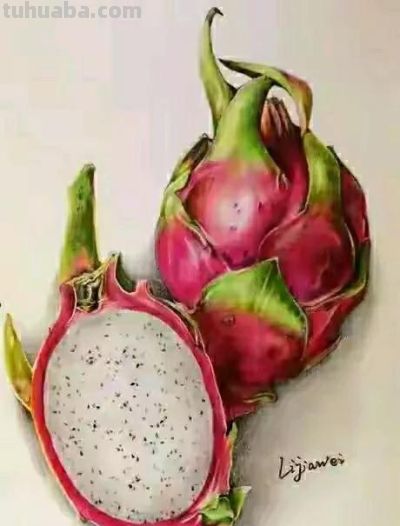 彩铅画（二十） - 图画吧TUHUABA