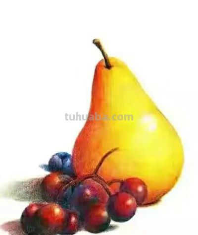 彩铅画（二十） - 图画吧TUHUABA