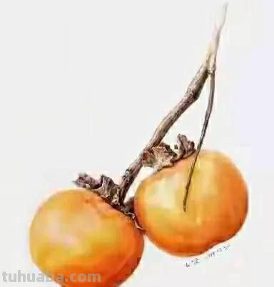 彩铅画（二十） - 图画吧TUHUABA