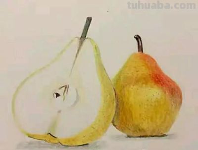 彩铅画（二十） - 图画吧TUHUABA