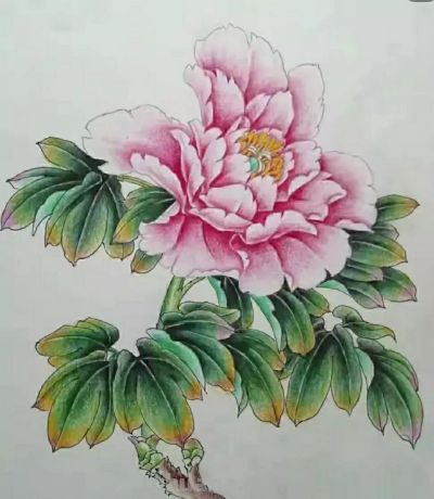 彩铅画（十九） - 图画吧TUHUABA